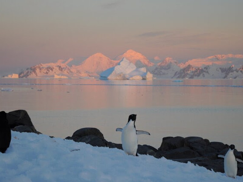 Antarctica Is Vulnerable To Extreme Events