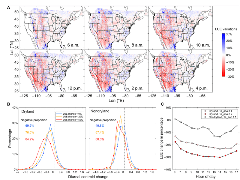 (A) Hourly change in LUE (expressed as a percentage) during the heatwave compared to normal years. (B) Probability distribution of diurnal centroid change in response to daily LUE decrease for three different situations: daily decrease of LUE ≤ 0, 20, and 50%, respectively. (C) Hourly LUE change over the course of the day for three different situations: drylands with Ta_ano ≥ 1 (pink circles); drylands with Ta_ano ≥ 2 (red circles), and nondrylands with Ta_ano ≥ 1 (black squares). -- Science