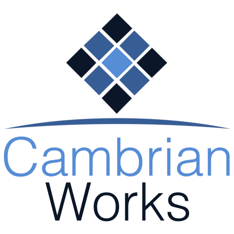 SpaceWERX Selects Cambrian Works for a $1.25M Phase II Contract